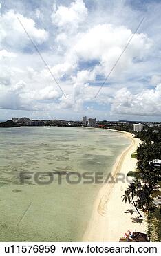 Stock Photograph - palm tree, guam, 
send, calmness, 
abroad, idreamstock. 
fotosearch - search 
stock photos, 
pictures, images, 
and photo clipart