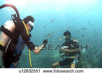 Stock Photography - search, scuba 
diving, probe, 
adventure, scuba 
diver, underwater, 
guam. fotosearch 
- search stock 
photos, pictures, 
images, and photo 
clipart