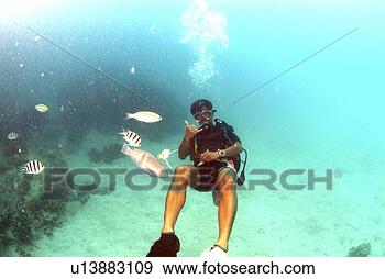Stock Photograph - search, scuba 
diving, probe, 
adventure, scuba 
diver, underwater, 
guam. fotosearch 
- search stock 
photos, pictures, 
images, and photo 
clipart