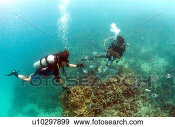 Stock Photograph - search, scuba 
diving, probe, 
adventure, scuba 
diver, underwater, 
guam. fotosearch 
- search stock 
photos, pictures, 
images, and photo 
clipart