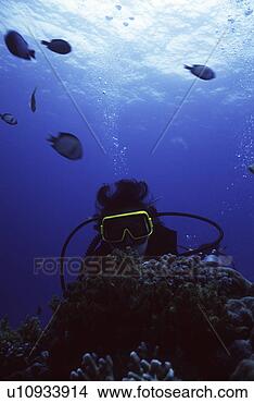 Stock Photo - search, scuba 
diving, probe, 
adventure, scuba 
diver, underwater, 
guam. fotosearch 
- search stock 
photos, pictures, 
images, and photo 
clipart