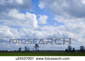 Picture - landscape, overseas, 
scenic, non-urban 
scene, outdoors, 
nature, abroad. 
fotosearch - search 
stock photos, 
pictures, images, 
and photo clipart