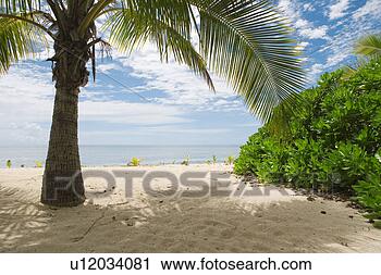 Arquivo de Fotografia - natureza,  estrangeiro, 
 verão,  ao ar 
livre,  ultramar, 
 beleza. fotosearch 
- busca de fotos, 
imagens e clipart