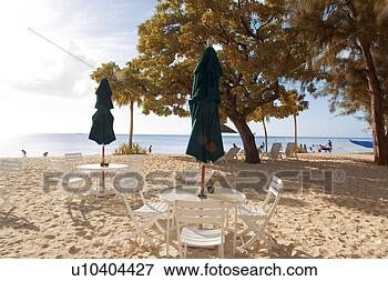 Picture - view, abroad, 
beauty in nature, 
nature, overseas, 
scenic, photograhy. 
fotosearch - search 
stock photos, 
pictures, images, 
and photo clipart