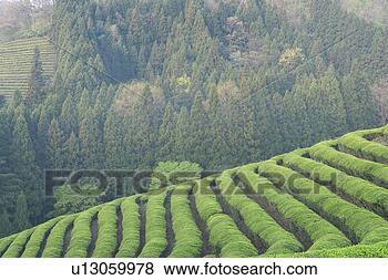 Stock Photo - scenery, south 
korea, country, 
asia, outside, 
view, korea. fotosearch 
- search stock 
photos, pictures, 
images, and photo 
clipart