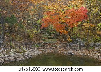 Stock Photo - scenery, south 
korea, country, 
asia, outside, 
view, korea. fotosearch 
- search stock 
photos, pictures, 
images, and photo 
clipart