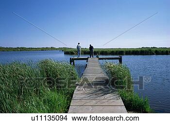 Banco de Imagem - dois,  men,  pesca. 
fotosearch - busca 
de fotos, imagens 
e clipart