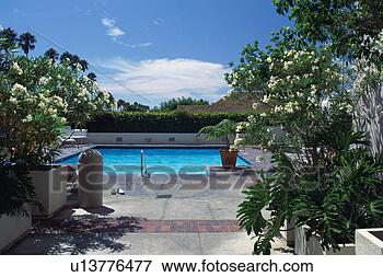 Foto - hotel. fotosearch 
- busca de fotos, 
imagens e clipart