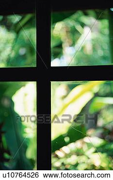 Banco de Imagem - janela. fotosearch 
- busca de fotos, 
imagens e clipart