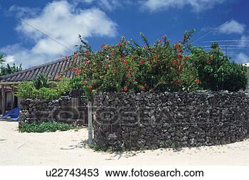 Banco de Imagem - pedra,  parede. 
fotosearch - busca 
de fotos, imagens 
e clipart