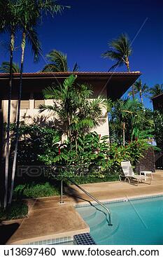 Stock Photography - poolside. fotosearch 
- search stock 
photos, pictures, 
images, and photo 
clipart