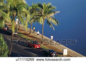 Arquivo Fotográficos - rua,  waikiki. 
fotosearch - busca 
de fotos, imagens 
e clipart