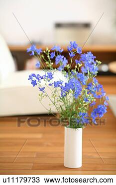 Banco de Imagem - vaso,  flor. fotosearch 
- busca de fotos, 
imagens e clipart
