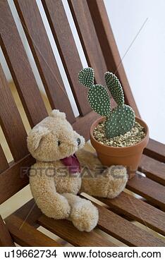 Stock Photo - potted cactus 
plant and stuffed 
animal on chair. 
fotosearch - search 
stock photos, 
pictures, images, 
and photo clipart