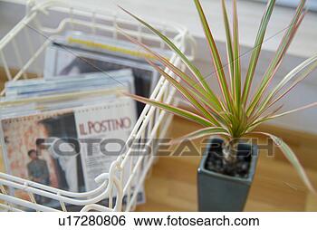 Banco de Imagem - potted,  planta, 
 música,  cds. 
fotosearch - busca 
de fotos, imagens 
e clipart