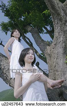 Banco de Imagem - jovem,  mulher, 
 ficar,  árvore, 
 amigo,  ficar, 
 frente. fotosearch 
- busca de fotos, 
imagens e clipart