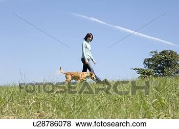 Banco de Imagem - jovem,  mulher, 
 andar,  cão. 
fotosearch - busca 
de fotos, imagens 
e clipart