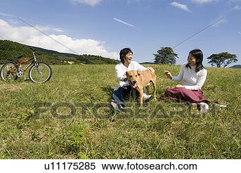 Banco de Imagem - jovem,  par,  
tocando,  cão. 
fotosearch - busca 
de fotos, imagens 
e clipart