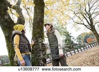 Foto - dois,   jovem, 
  mulheres,   
falando,   árvore, 
  kamigamo. fotosearch 
- busca de fotos, 
imagens e clipart