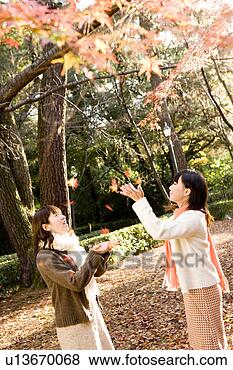 Banco de Imagem - dois,  jovem, 
 mulheres,  pegando, 
 queda,  folhas. 
fotosearch - busca 
de fotos, imagens 
e clipart