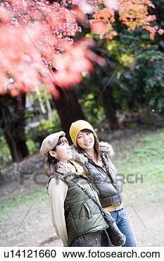 Arquivo de Fotografias - dois,   jovem, 
  mulheres,   
andar,   kamigamo, 
  santuário,  
 kyoto. fotosearch 
- busca de fotos, 
imagens e clipart