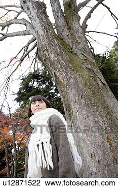 Banco de Imagem - jovem,  mulher, 
 ficar,  árvore. 
fotosearch - busca 
de fotos, imagens 
e clipart