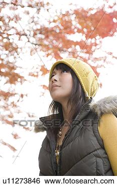 Banco de Imagem - jovem,   mulher, 
  olhar,   vermelho, 
  maple,   folhas, 
  kamigamo. fotosearch 
- busca de fotos, 
imagens e clipart