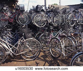 Arquivo de Fotografias - grande,  grupo, 
 bicycles. fotosearch 
- busca de fotos, 
imagens e clipart