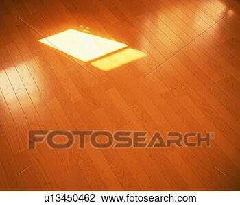 Banco de Imagem - luz solar,  refletido, 
 hardwood,  chão. 
fotosearch - busca 
de fotos, imagens 
e clipart