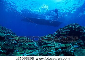 Stock Photo - low angle view 
of a scuba diver 
floating in okinawa, 
japan. fotosearch 
- search stock 
photos, pictures, 
images, and photo 
clipart