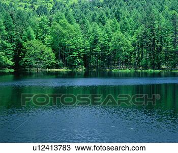Stock Photo - dense trees and 
a placid pond. 
fotosearch - search 
stock photos, 
pictures, images, 
and photo clipart