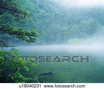 Stock Photography - foggy view of 
the trees with 
a pond. fotosearch 
- search stock 
photos, pictures, 
images, and photo 
clipart