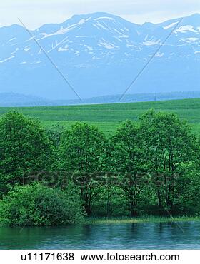 Banco de Imagem - neve,  clad,  
montanhas,  árvores, 
 lago. fotosearch 
- busca de fotos, 
imagens e clipart