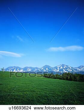 Stock Photo - scenic view of 
the grassland 
with snow clad 
mountains. fotosearch 
- search stock 
photos, pictures, 
images, and photo 
clipart