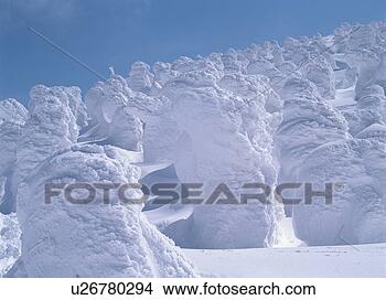 Banco de Imagem - árvore,  coberto, 
 neve. fotosearch 
- busca de fotos, 
imagens e clipart