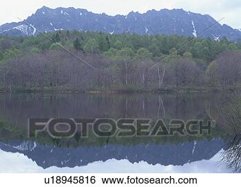 Banco de Imagem - árvores,  refletido, 
 superfície,  
lagoa. fotosearch 
- busca de fotos, 
imagens e clipart