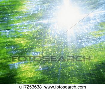 Banco de Imagem - luminoso,  luz 
solar,  queda, 
 através,  árvores. 
fotosearch - busca 
de fotos, imagens 
e clipart