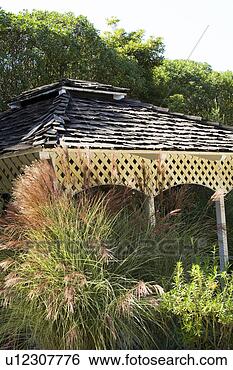 Stock Photo - gazebo overrun 
with plants. fotosearch 
- search stock 
photos, pictures, 
images, and photo 
clipart