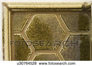 Stock Photo - contemporary backsplash 
with hexagonal 
tiles. fotosearch 
- search stock 
photos, pictures, 
images, and photo 
clipart