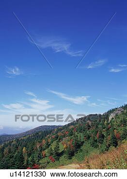 Stock Photography - shiga plateau, 
nagano prefecture, 
japan. fotosearch 
- search stock 
photos, pictures, 
images, and photo 
clipart