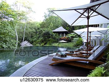 Stock Image - view of deck chairs 
along a poolside 
in a resort, mayaubud. 
fotosearch - search 
stock photos, 
pictures, images, 
and photo clipart