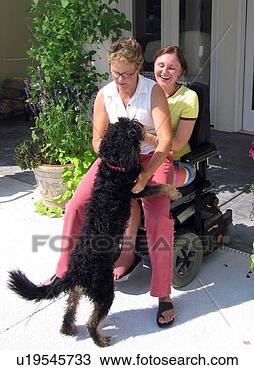 Stock Photo - family dog jumps 
on mom seated 
on the lap of 
daughter (wheelchair. 
fotosearch - search 
stock photos, 
pictures, images, 
and photo clipart