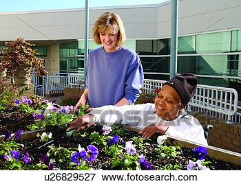 Picture - woman who uses 
a wheelchair working 
on a flower garden 
with a friend. 
fotosearch - search 
stock photos, 
pictures, images, 
and photo clipart