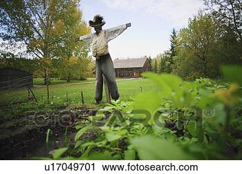 Stock Photography - scarecrow watching 
the garden. fotosearch 
- search stock 
photos, pictures, 
images, and photo 
clipart