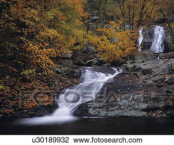 Stock Photo - robinson river 
cascade through 
a vivid autumnal 
canyon. fotosearch 
- search stock 
photos, pictures, 
images, and photo 
clipart
