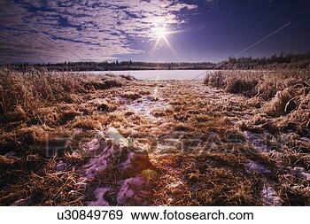 Stock Photograph - snowy field of 
grass. fotosearch 
- search stock 
photos, pictures, 
images, and photo 
clipart