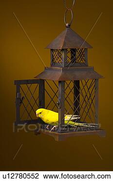 Stock Photo - bird escaping 
cage. fotosearch 
- search stock 
photos, pictures, 
images, and photo 
clipart