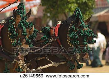 Stock Photograph - decorated horses. 
fotosearch - search 
stock photos, 
pictures, images, 
and photo clipart