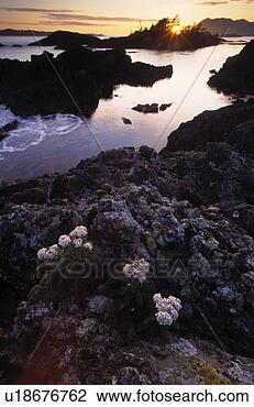 Stock Photo - queen charlotte 
islands. fotosearch 
- search stock 
photos, pictures, 
images, and photo 
clipart