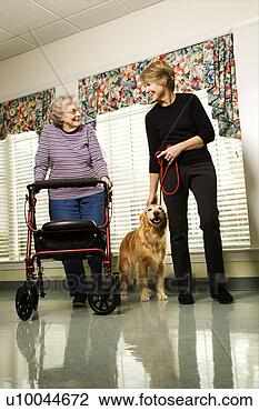 Stock Photo - elderly caucasian 
woman using walker 
and middle-aged 
woman walking. 
fotosearch - search 
stock photos, 
pictures, images, 
and photo clipart